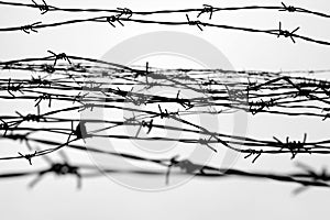 Fencing. Fence with barbed wire. Let. Jail. Thorns. Block. A prisoner. Holocaust. Concentration camp. Prisoners