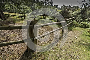 Fencing New Forest Hampshire UK