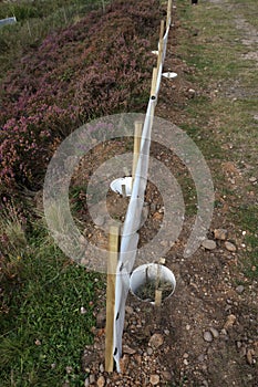 Fencing to catch reptiles