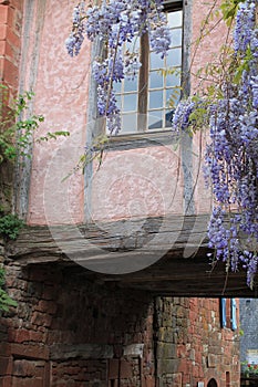 Fenetre, Collonges-la-Rouge ( France )