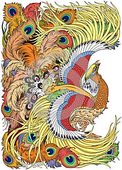 Feng huang mythological bird