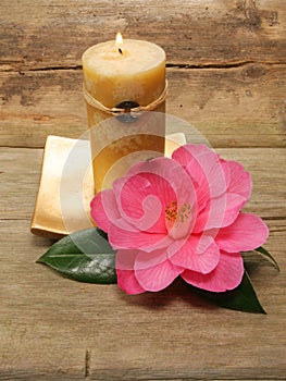 Feng Shui candle and camellia