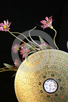 Feng Shui Compass
