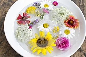 Feng Shui, Flowers in a Bowl with Water