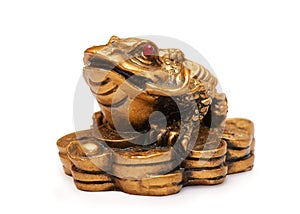 Feng shui frog, a symbol of China