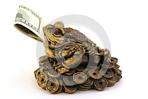 Feng Shui Money Toad with one hundred dollars