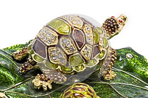 Feng shui turtle on white background