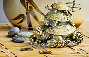 Feng-shui turtles