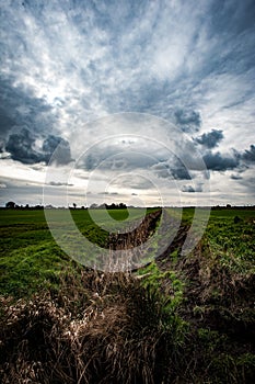 Fenland landscape in winter