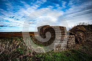 Fenland landscape in winter