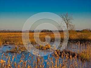 Fenlands of Suffolk uk photo