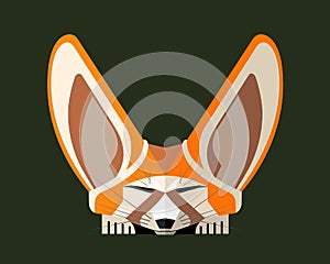 Fennec fox