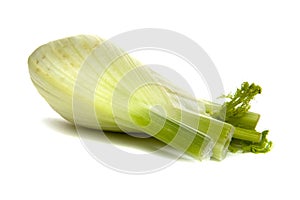 Fennel