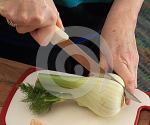 Fennel Cut In Half
