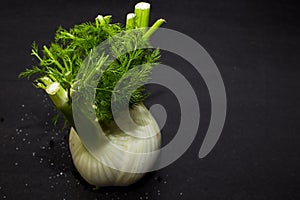 Fennel on a dark background