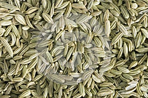 Fennel macro