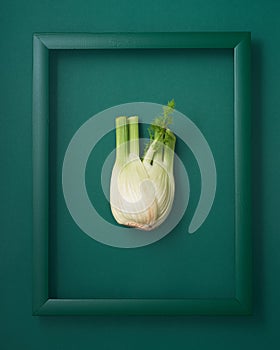 Fennel in picture frame on green background
