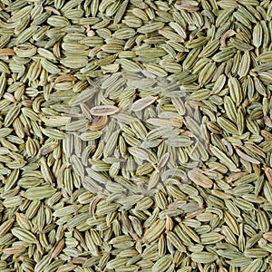 Fennel seeds