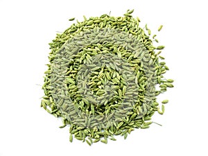 Fennel Seeds