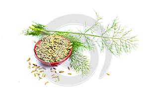 Fennel seeds photo