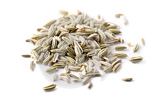 Fennel Seeds