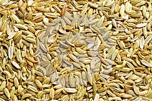 Fennel Seeds Background