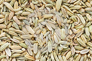Fennel seeds background. Food background, top view. Selective focus