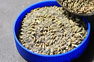 Fennel seeds