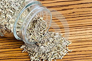 A Fennel seeds