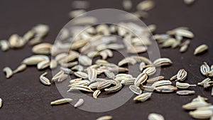 Fennel seeds on the floor macro photography.