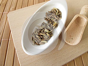 Fennel seeds, Foeniculi fructus