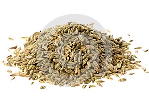Fennel Seeds Macro Isolated