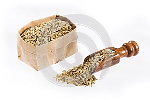 Fennel seeds in paper bag - Foeniculum vulgare