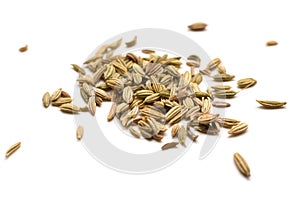Fennel seeds
