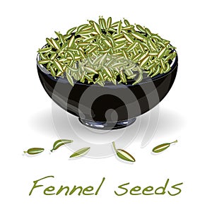 Hinojo semillas en blanco 