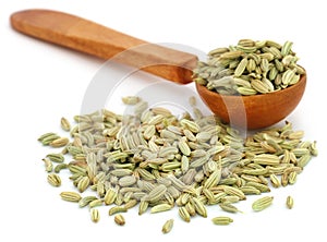 Fennel seeds in a wooden spoon