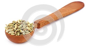 Fennel seeds in a wooden spoon