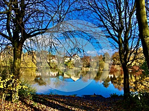 Fenton landscape and reflections