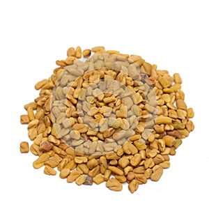 Fenugreek photo