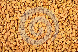 Fenugreek background.