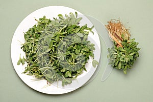 Fenugreek leaves