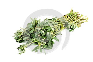 Fenugreek leaves