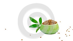 Fenugreek leaves with seeds in a bowl. fresh fenugreek seeds isolated on white background