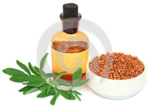 Fenugreek leaves with seeds and oil
