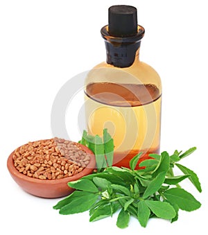 Fenugreek leaves with seeds and oil