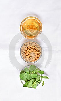 Fenugreek leaves with seeds and oil over white background. Concept of Indian ayurvedic medicine for blood suger, and damage hair