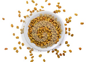 Fenugreek seed with sprout. Trigonella foenum-graecum isolated