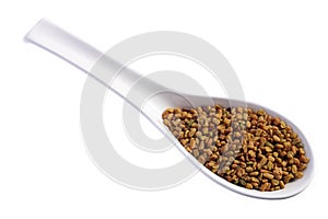 Fenugreek seeds
