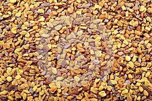 Fenugreek seeds photo