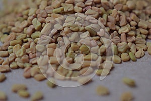 Fenugreek seeds background, spice, culinary ingredient